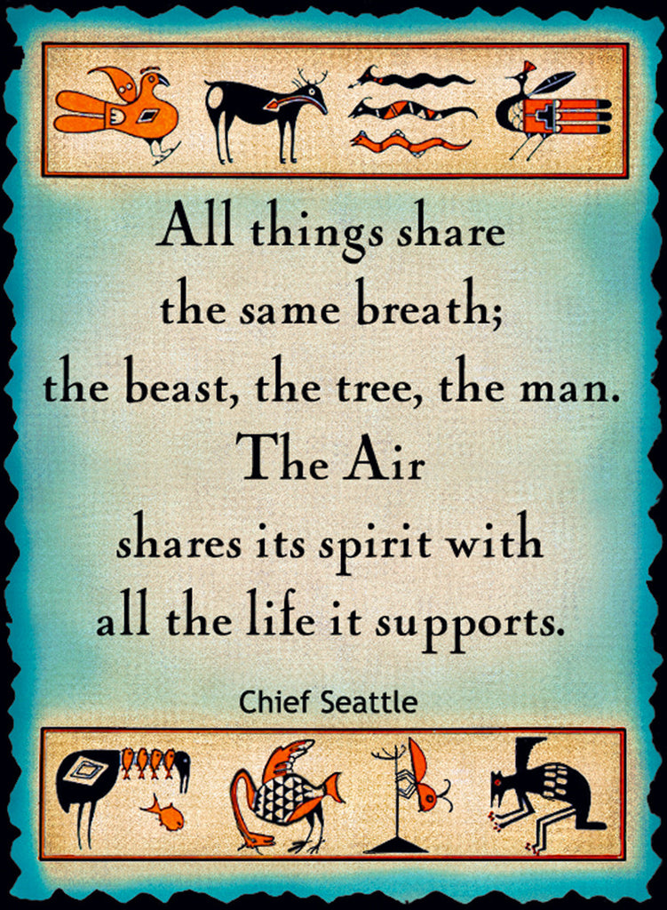 Pin on Native American Spirit Images & Wisdom